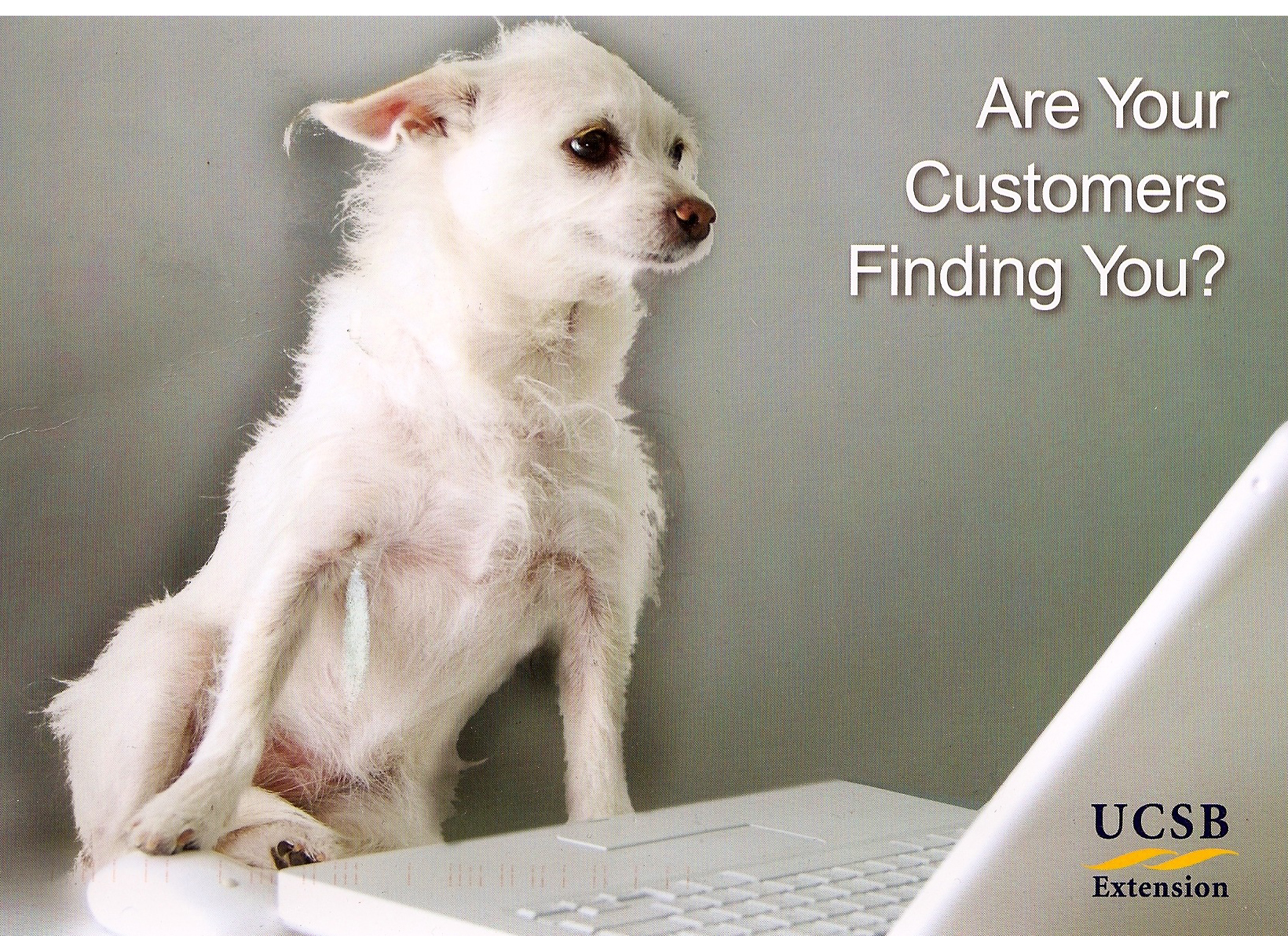 Have your sales gone to the dogs? Try UCSB's Social Media Marketing class to boost your business! Have your sales gone to the dogs? Try UCSB's Social Media Marketing class to boost your business!