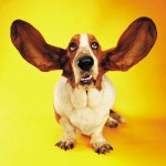 Use Active Listening and Learning for Greater Earning!