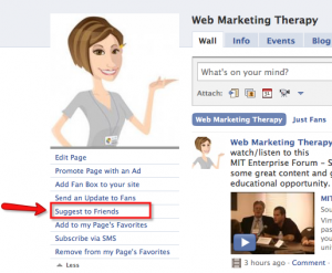 wmt_facebook_suggesttofriends Want to Pimp Your Fan Page? Suggest it to your Friends!