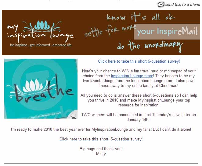 mil_survey_jan101 Example of the Email Misty Sent to Survey Her Customers - Ask, Learn, Adapt then Succeed!