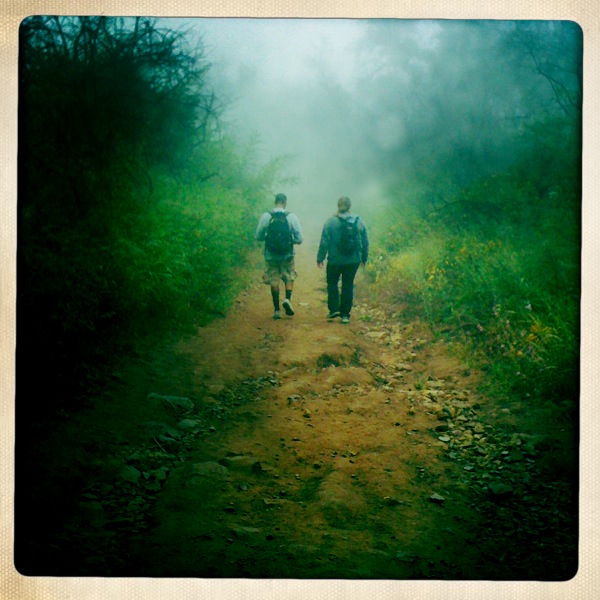Sweet image for 2011